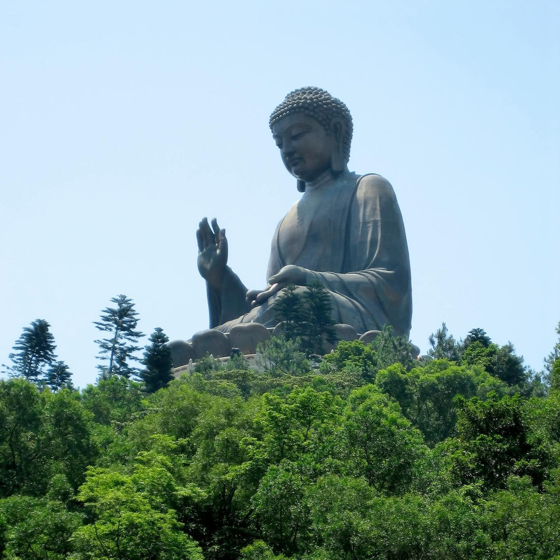 The Four Noble Truths Of The Buddha
