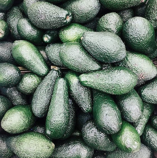 What Are Avocados And Why Are They So Good For Us?