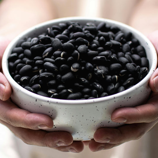 Protein, What Is It, Why Is It Important and What Are the Best Sources?